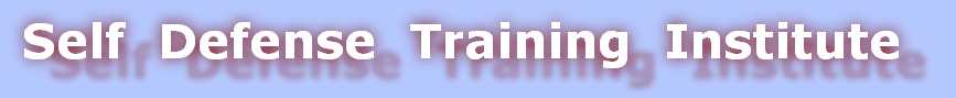 Self  Defense  Training  Institute
